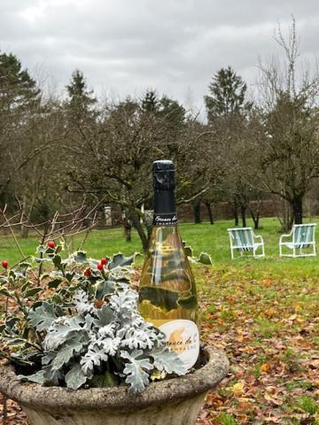 "Aux Chants Des Oiseaux" Domaine De La Renardiere Les Grandes-Loges Luaran gambar